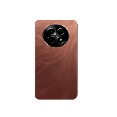 Back Door Panel With Camera Glass for Realme C65 Brown