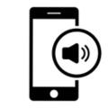 Ringer Speaker